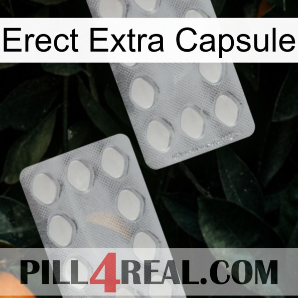 Erect Extra Capsule 17.jpg